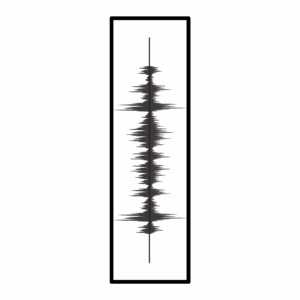 Soundwave/audio-opname
